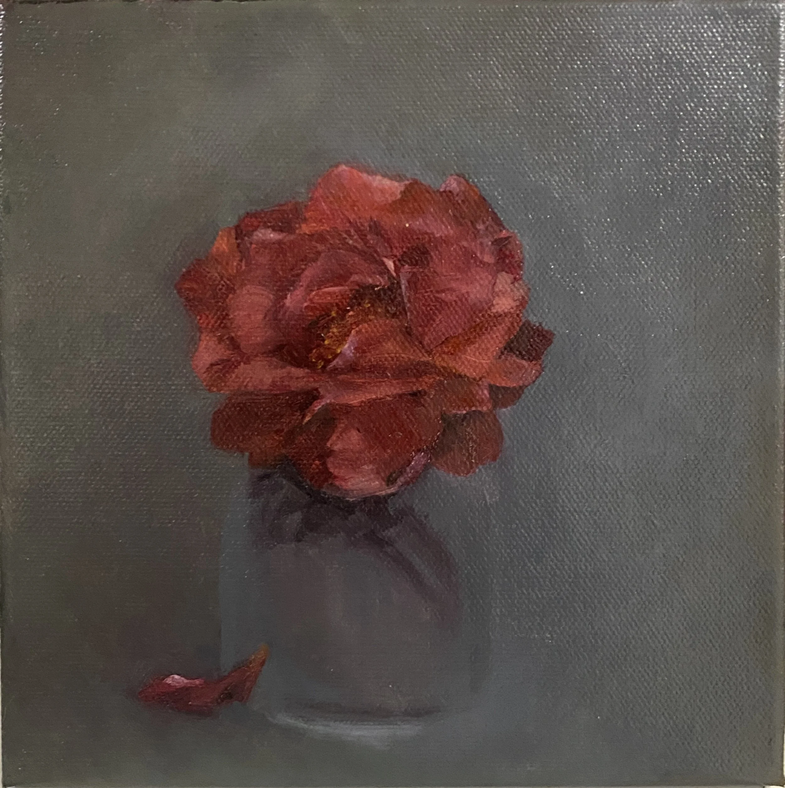 絵画 rose study no.01 Rose Study. Oil on canvas 20 x 20 cm — Valeria Carballo Art